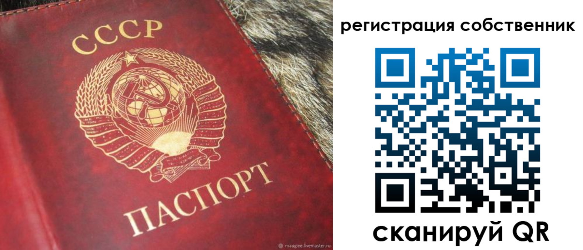 временная регистрация надежно в Лодейном Поле